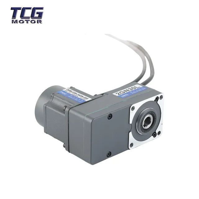 Braked DC Brushless Motor